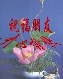 经典搞笑留言踩踩踩