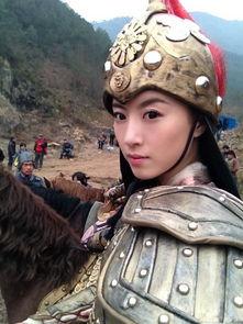 薛丁山电视剧演员表,群星荟萃，演绎经典传奇英雄传奇